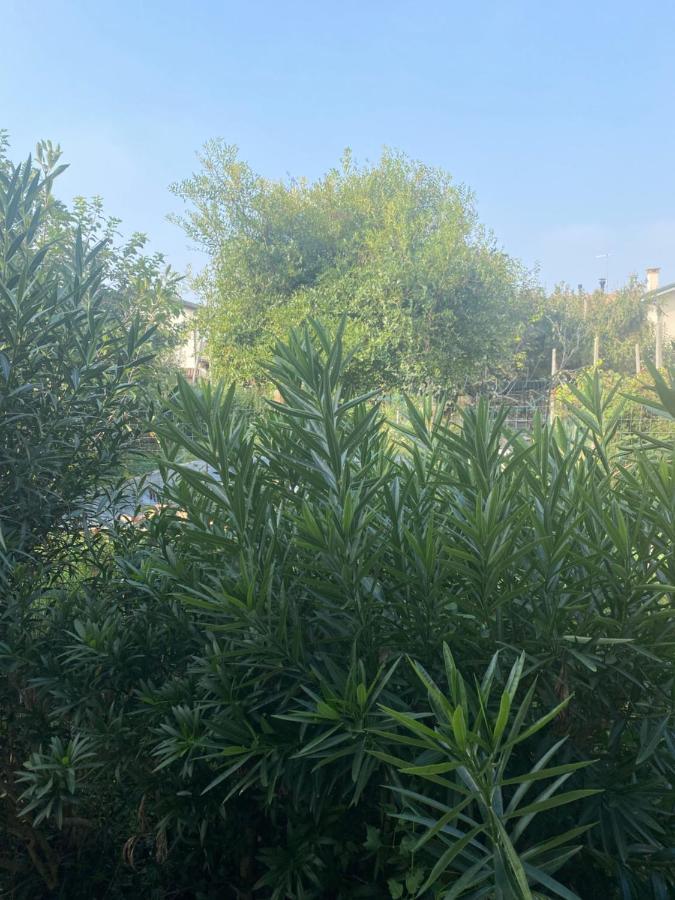 B&B Le Rose Villafranca Padovana Dış mekan fotoğraf